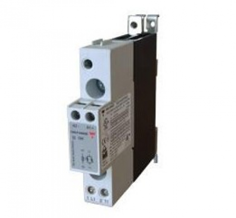 RGC1P48V42ED | Carlo Gavazzi | реле