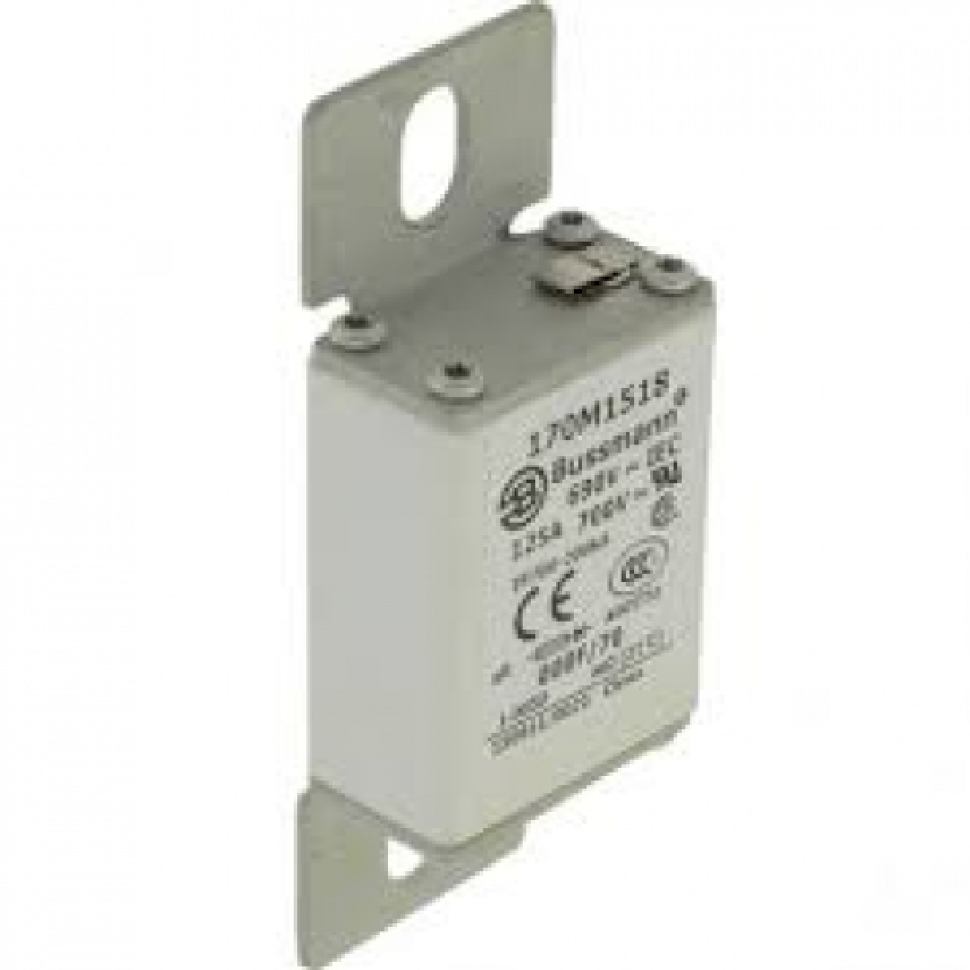 170M1517.jpg