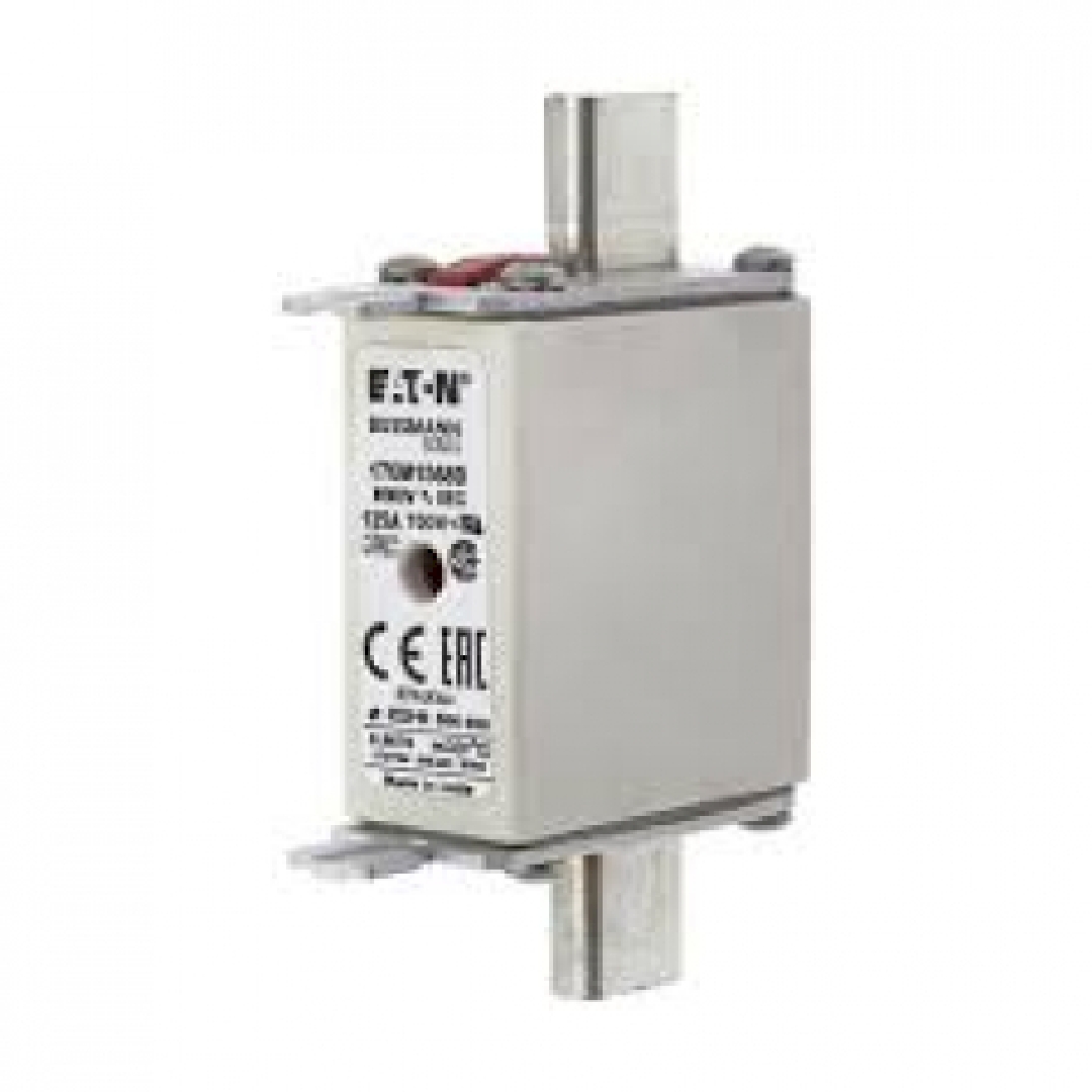 170M1568D1.jpg