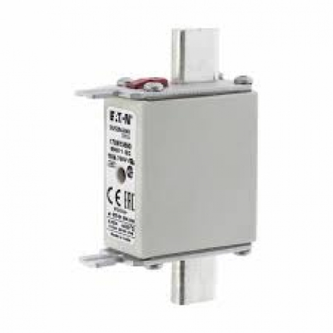 170M1569D.jpg