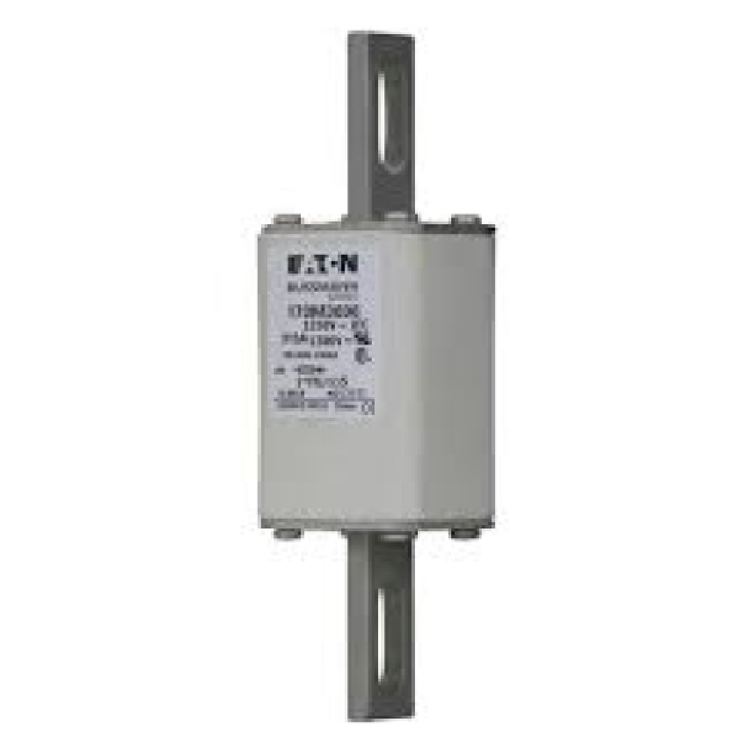 170M3696.jpg