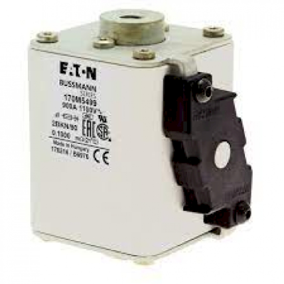 170M5499.jpg