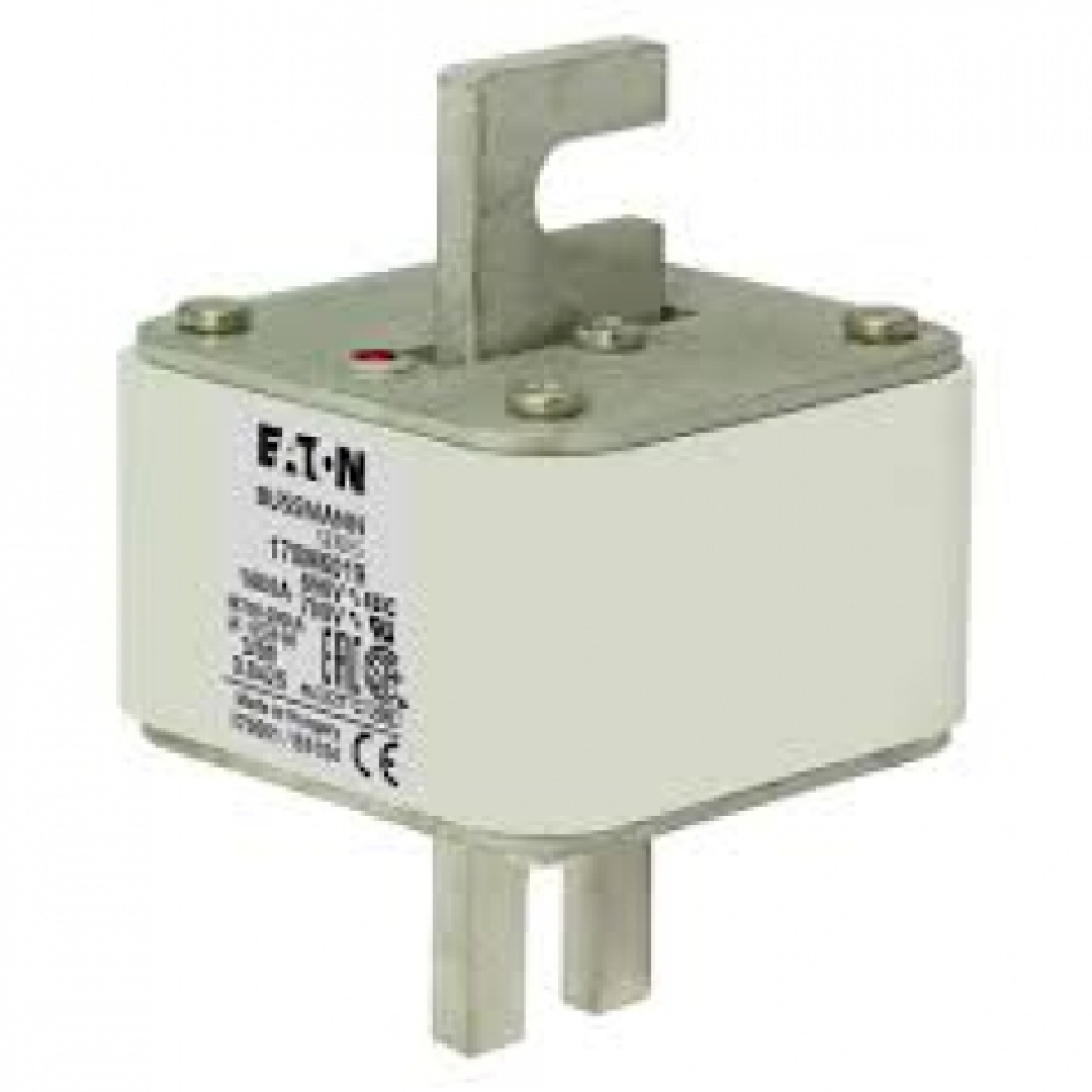 170M6069.jpg