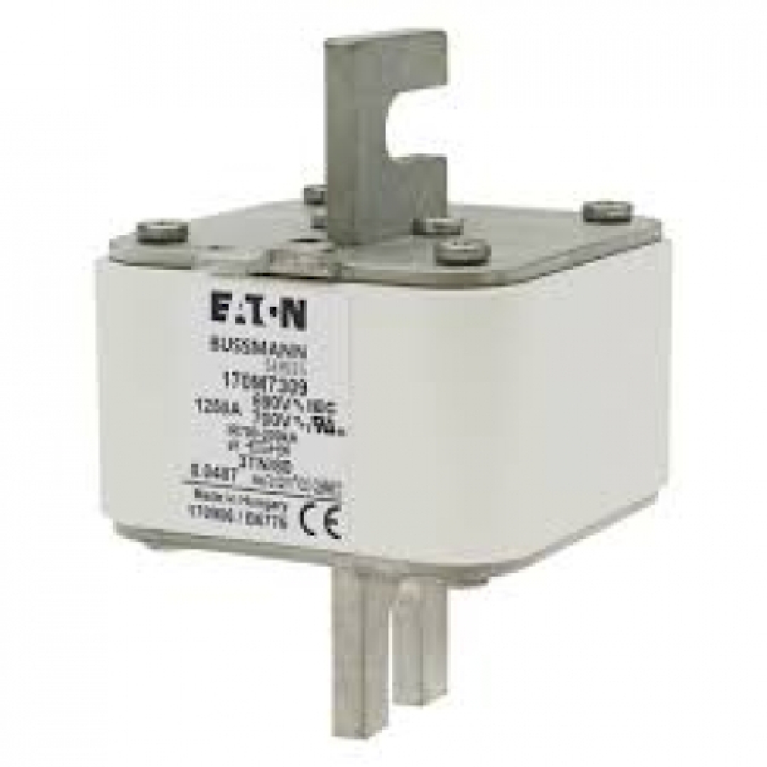 170M7309.jpg