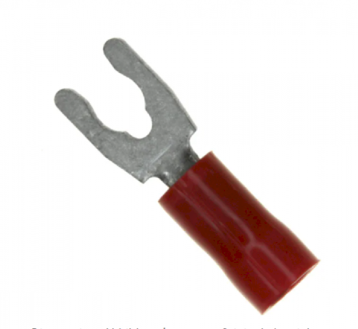 529491.png
