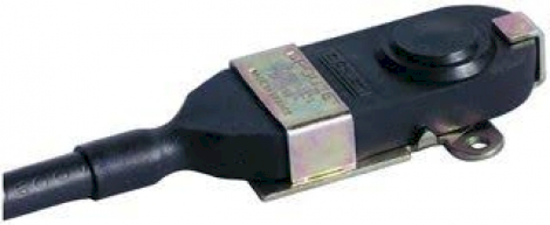 83123018-2.jpg