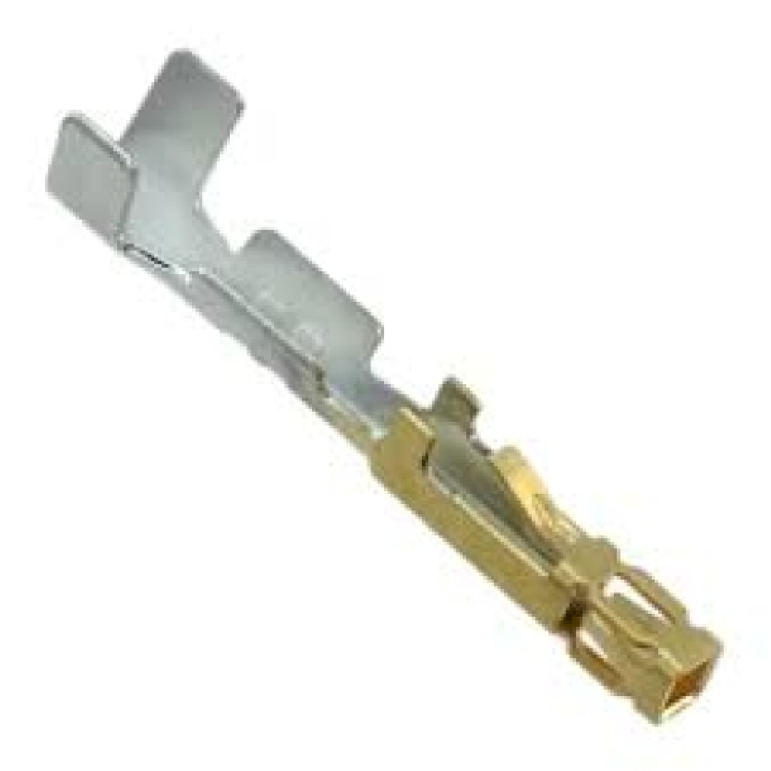 CC81R-2426-01-L.jpg