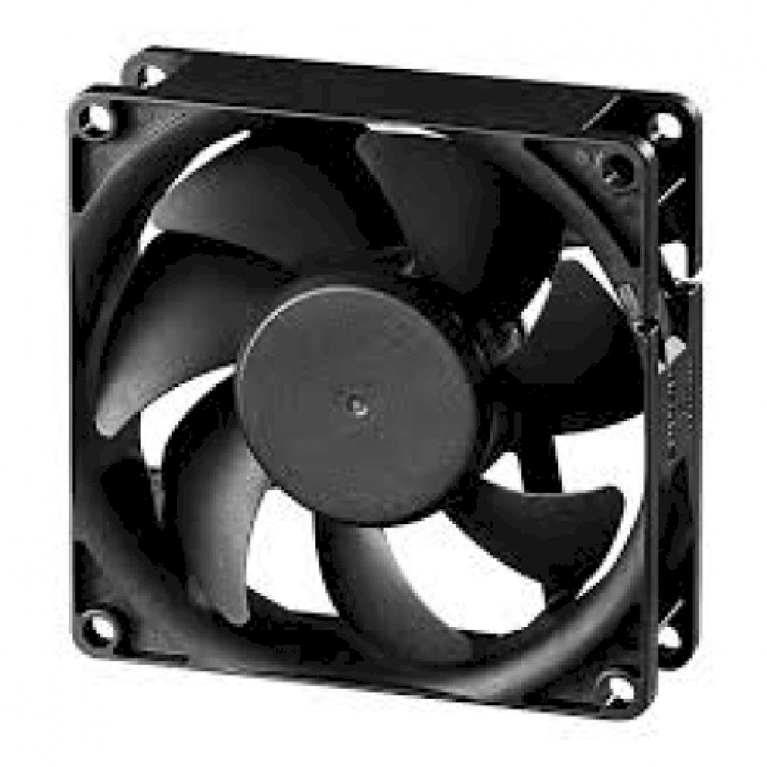 PE80254B2000UA99.jpg