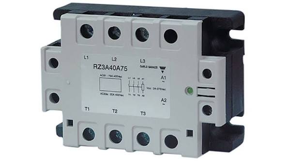 RZ3A40A25.jpg