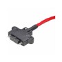 M80-8990205.png